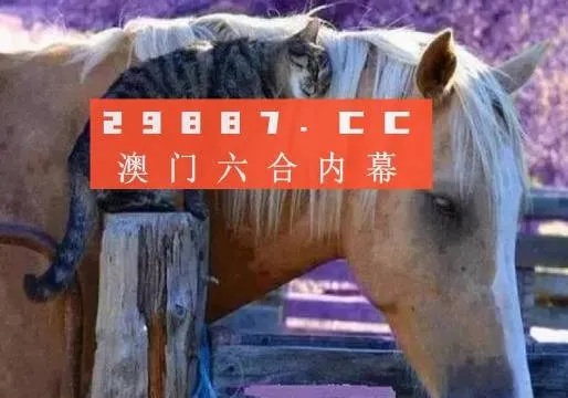 49图库(澳门官方正版)|理论依据解释落实_领航型.0.936